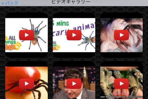 Spider Photos & Video Galleries FREE screenshot 2