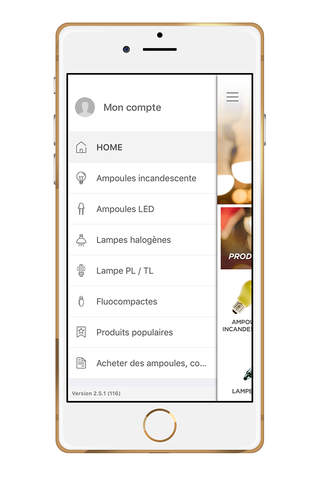 Ampoulepascher.fr screenshot 2