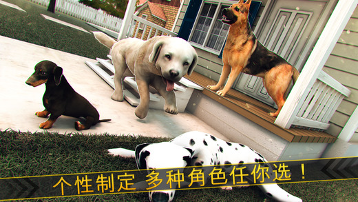 好玩的 狗狗游戏 农场 小镇 萌宠 宝宝 大 冒险 -