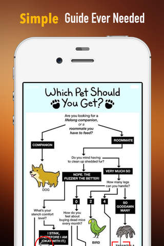 How to Choose a Pet:Guide and Tips screenshot 2