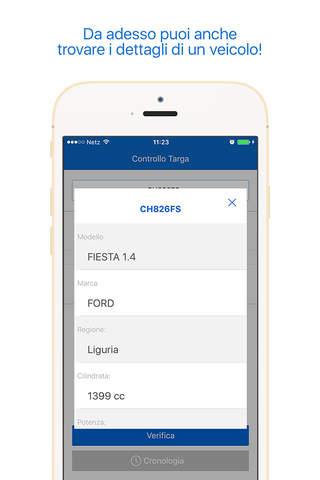 Controllo Targa - Check dati assicurazione e furto screenshot 4