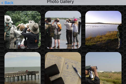 Bird Watching Photos & Videos FREE | Amazing 296 Videos and 55 Photos screenshot 4
