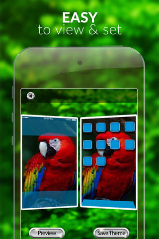 Parrot Gallery HD – Retina Wallpaper , Animal Themes and Backgrounds screenshot 3
