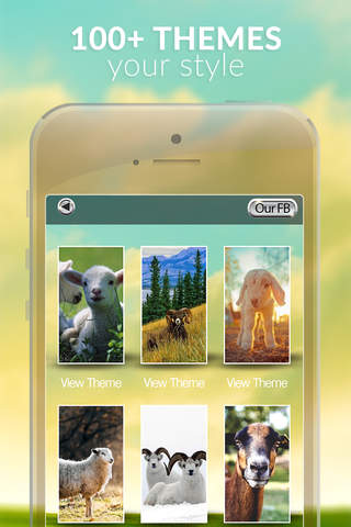 Sheep Gallery HD – Retina Wallpapers , Animal Theme and Backgrounds screenshot 2
