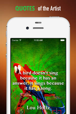 Parrot Wallpapers HD: Quotes Backgrounds with Art Pictures screenshot 4