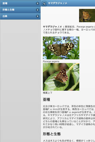 Directory of butterflies screenshot 4