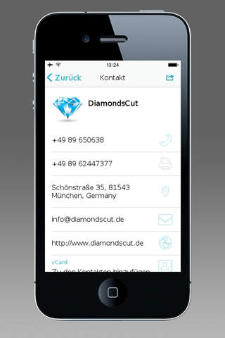 DIAMONDSCUT screenshot 4
