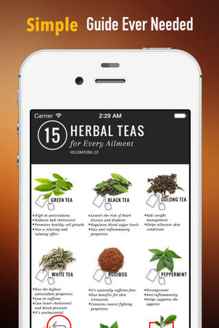 Herbal Guide:Natural Medicine Treatment screenshot 2