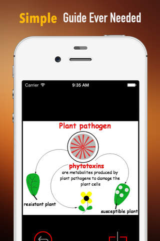 Phytotoxins: Learning Course with Flashcards screenshot 2