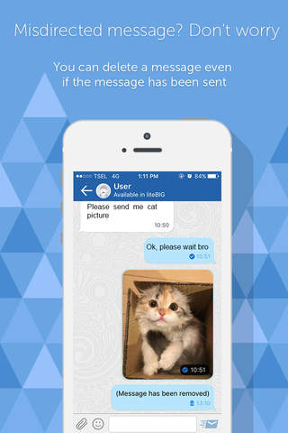 liteBIG Messenger screenshot 4
