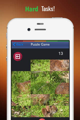 Memorize Animals by Sliding Tiles Puzzle: Learning Becomes Fun screenshot 4