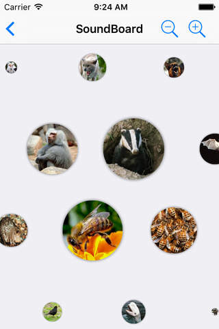 150+ Sounds of Animals screenshot 2