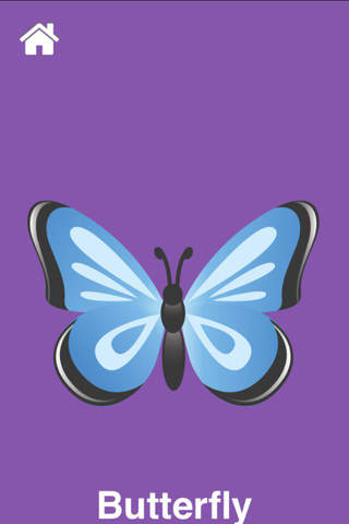 Insects Flashcard for babies and preschool Pro screenshot 3