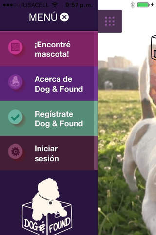 Dog and Found screenshot 3