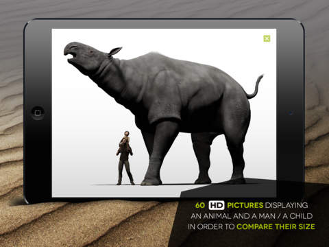 iPad Screenshot 4