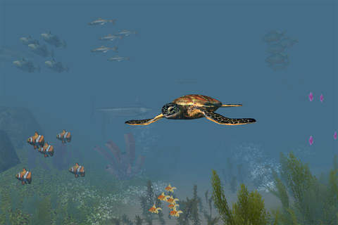 VR Ocean Aquarium 3D screenshot 2