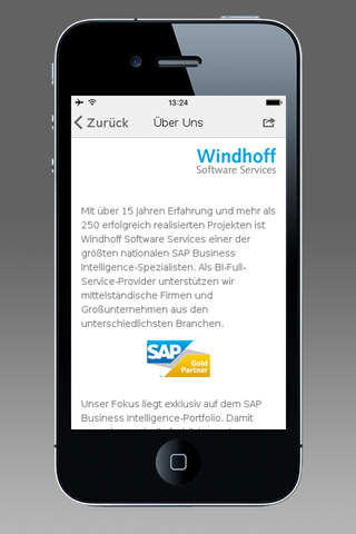 SAP BI vision screenshot 2