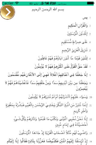AL Quran AL Karem screenshot 3