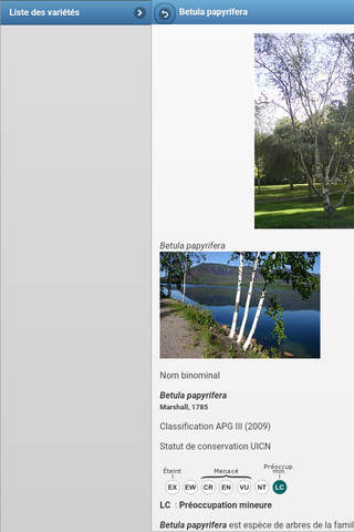 Directory of trees screenshot 3