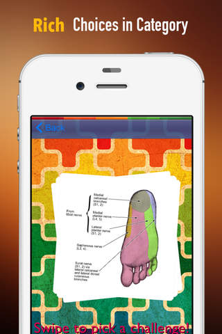 Memorize Human Nervous System Anatomy by Sliding Tiles Puzzle: Learning Becomes Fun screenshot 2
