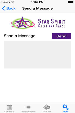 Star Spirit Cheer & Dance screenshot 3