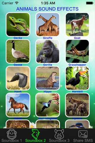 Wild Animal Soundboard Button - Listening Real Animals Sound Effects & Nature Sounds Plus screenshot 2