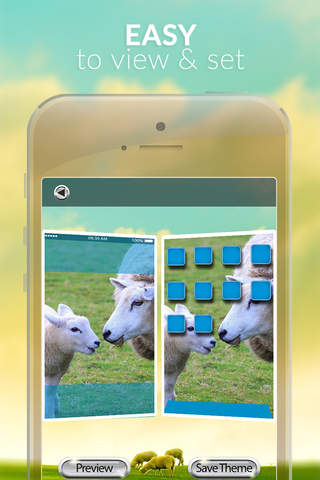 Sheep Gallery HD – Retina Wallpapers , Animal Theme and Backgrounds screenshot 3