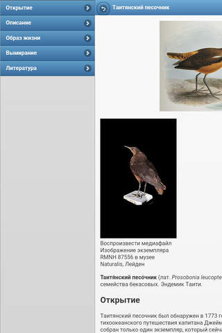 Directory of birds screenshot 4