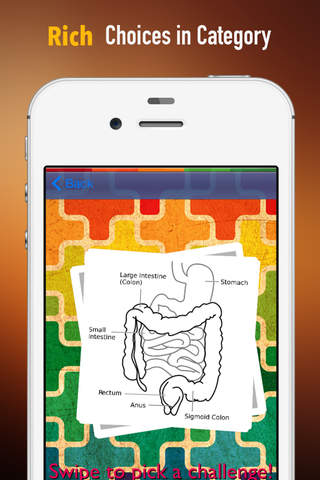 Memorize Human Digestive System Anatomy by Sliding Tiles Puzzle: Learning Becomes Fun screenshot 2