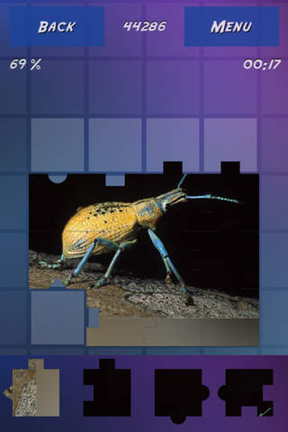 Insects Encyclopedia Puzzles screenshot 3