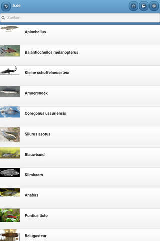 Directory of fishes screenshot 2