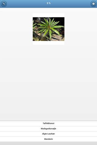 Houseplants - quiz screenshot 2