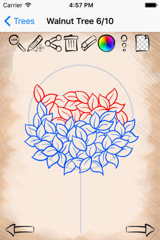 Learn to Draw Fruit Trees screenshot 3