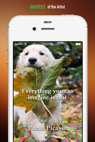 Cute Autumn Wallpapers HD: Quotes Backgrounds with Design Pictures screenshot 4