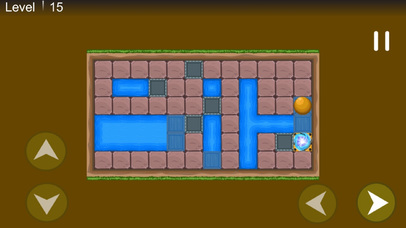 Choose Right Path : Real Puzzle Game screenshot 2