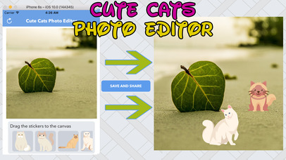 Cute Cats Photo Editor screenshot 4