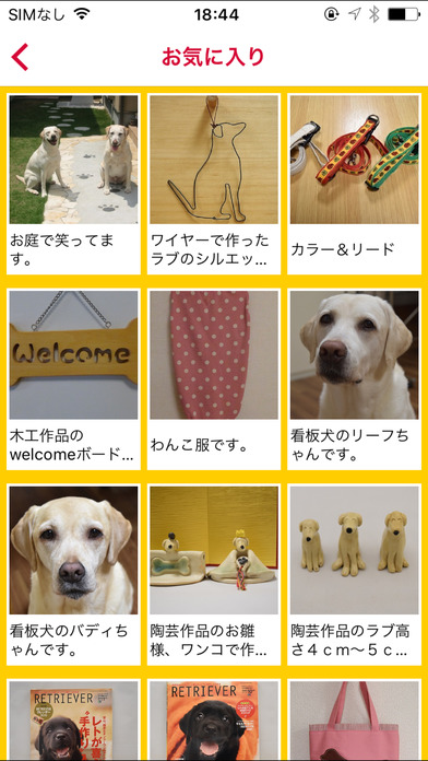ラブラドールに似合う犬服や犬雑貨　natural-lab’s screenshot 3