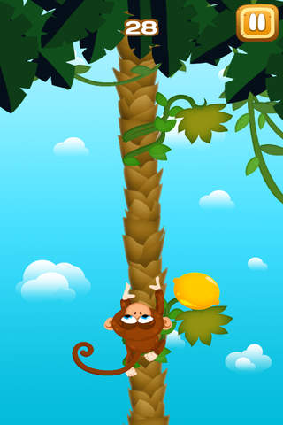 Fruit Paddle Game screenshot 3