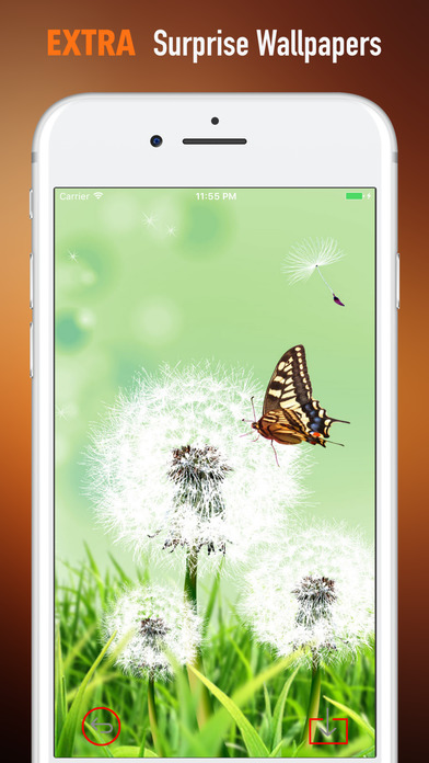 Butterflies Wallpapers HD| Quotes , Art Pictures screenshot 3