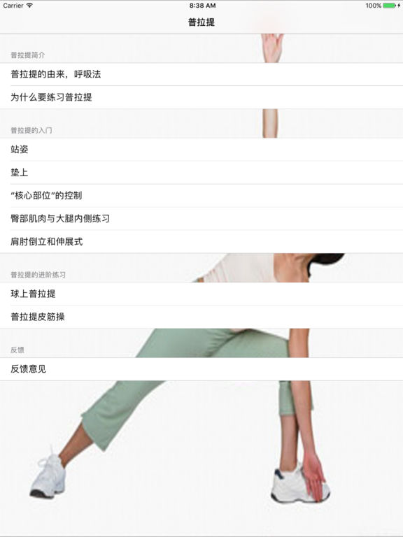 iPad Screenshot 1