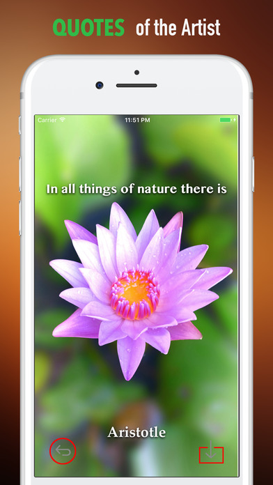 Lotus Wallpapers HD: Quotes with Art Pictures screenshot 4