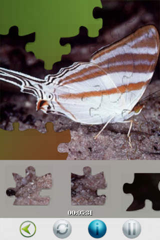 Puzzle Insects screenshot 2