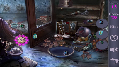 Hidden Objects Of The Disappearance screenshot 2
