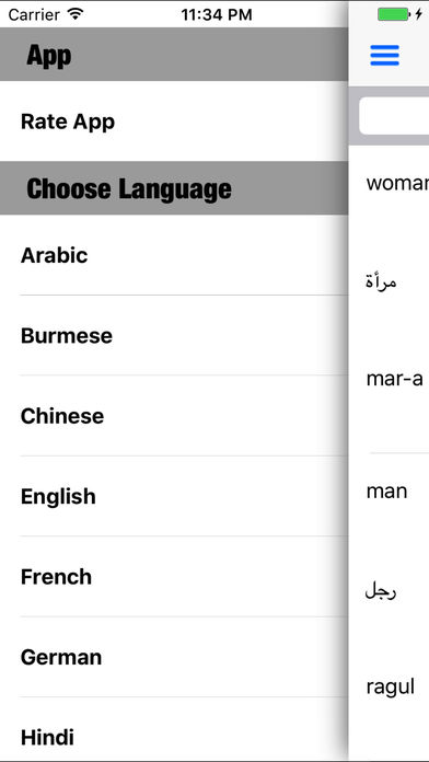 Lingo Foreign Language screenshot 2