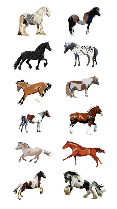 Realistic Horse Art - Horses, Arabian, Appaloosa screenshot 3