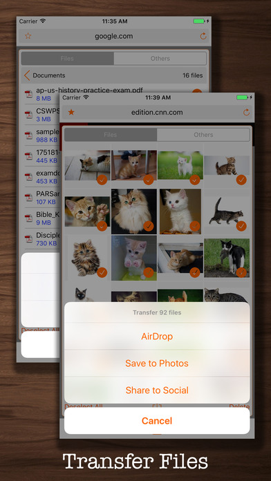 Downloads - Files, Browser screenshot 4