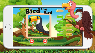 Bird Animal Game - Free Toddlers Boys Girls Puzzle screenshot 3