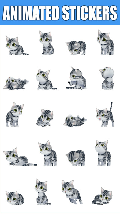 Kitty Cat 3D Animated Stickers: American Shorthair screenshot 2
