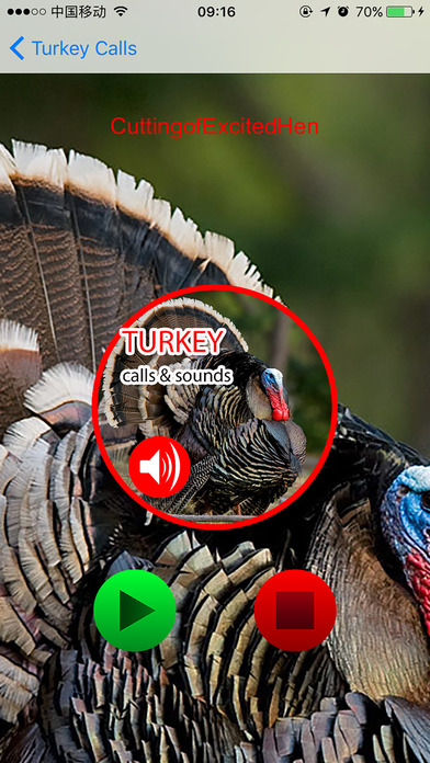 Turkey Hunting Calls & Sounds - Real Sounds screenshot 2