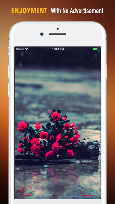 Rain Wallpapers HD- Backgrounds and Art Pictures screenshot 2